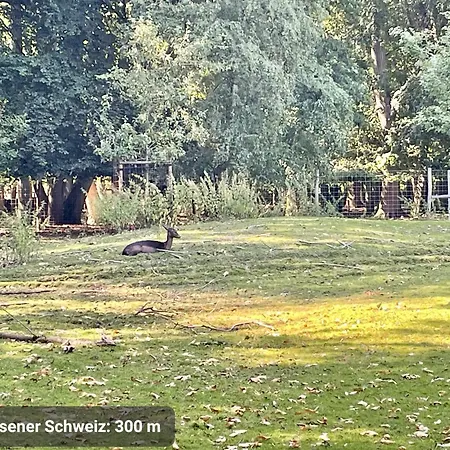 Top-lage, 400 M Bis Gop, Bali-therme Und Kurpark - Hdz - Parkplatz *