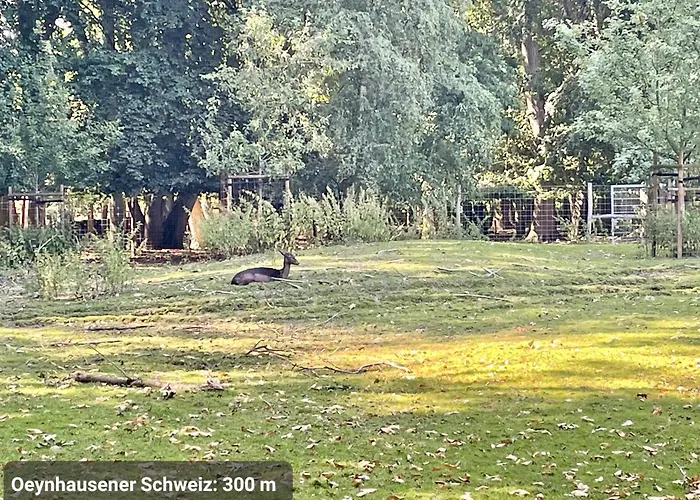 Top-lage, 400 M Bis Gop, Bali-therme Und Kurpark - Hdz - Parkplatz *